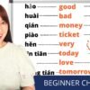 Beginner Chinese–40 essential words for Chinese beginners, you need these words every day