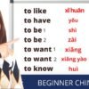 BEGINNER Chinese –7 most ESSENTIAL VERBS to start with–learn Chinese from zero