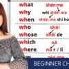 BEGINNER Chinese—-QUESTION WORDS in Chinese, learn them easily with mind map/ Yimin Chinese