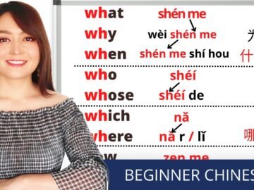 BEGINNER Chinese—-QUESTION WORDS in Chinese, learn them easily with mind map/ Yimin Chinese<div class="yasr-vv-stars-title-container"><div class='yasr-stars-title yasr-rater-stars'
                          id='yasr-visitor-votes-readonly-rater-90426126c023b'
                          data-rating='0'
                          data-rater-starsize='16'
                          data-rater-postid='1685'
                          data-rater-readonly='true'
                          data-readonly-attribute='true'
                      ></div><span class='yasr-stars-title-average'>0 (0)</span></div>