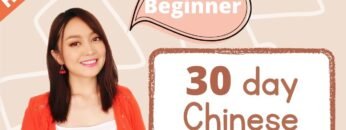 Beginners 30-day Chinese program(big material package) Enjoy your FUN and EFFECTIVE Chinese study