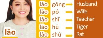 Chinese PREFIX 老 lǎo—7 COMMON WORDS MADE WITH 老 lǎo–Grow your Chinese vocabulary FAST