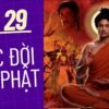 Cuộc đời Đức Phật tập 29 | Phim Phật Giáo Ấn Độ