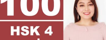 (H—L)100 Chinese HSK4 WORDS+SENTENCES+LITERAL EXPLANATION