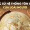 Lược sử hệ thống tôn giáo của loài người | Tengaria | Khoa học