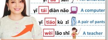 Part 2 Explain why MEASURE WORD in Chinese and HOW to remember them fast !
