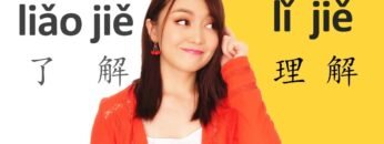 (understand)Chinese grammar 了解 (liǎo jiě) vs 理解(lǐ jiě) -Clear explanation+examples+formulas