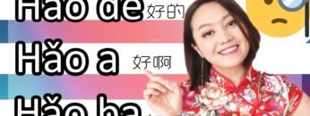 whats the difference among好的HAO DE/好啊HAO A/好吧HAO BA(understand in 1 minute)