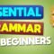 Essential Grammar For Beginners | English Daily Conversations