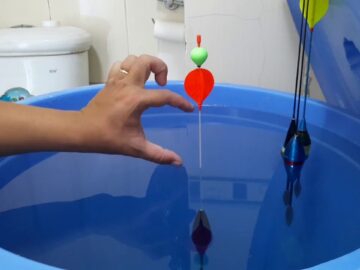 Cách cân phao bềnh câu lục- by Rise- Trần Xuân Tiến<div class="yasr-vv-stars-title-container"><div class='yasr-stars-title yasr-rater-stars'
                          id='yasr-visitor-votes-readonly-rater-698cc79d47b98'
                          data-rating='0'
                          data-rater-starsize='16'
                          data-rater-postid='4408'
                          data-rater-readonly='true'
                          data-readonly-attribute='true'
                      ></div><span class='yasr-stars-title-average'>0 (0)</span></div>