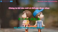 Chỉ Mong Trong Giấc Mơ Của Anh Có Em | 但愿你的梦中有我 [ Vietsub Pinyin Kara ]