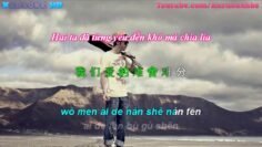 再見只是陌生人 | Gặp Lại Cũng Chỉ Là Người Xa Lạ – 男聲版 [ Pinyin Vietsub ]