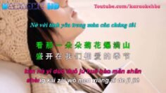 Hoa Cúc Ngập Tràn Khắp Núi | 菊花爆滿山 | Ju Hua Bao Man Shan Vietsub