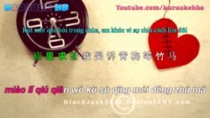Quẻ Bói | 卜卦 – 崔子格 ( Ngày Hạnh Phúc – Bằng Cường )