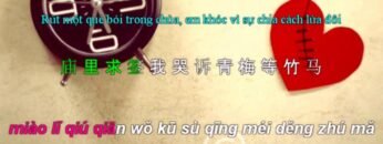 Quẻ Bói | 卜卦 – 崔子格 ( Ngày Hạnh Phúc – Bằng Cường )