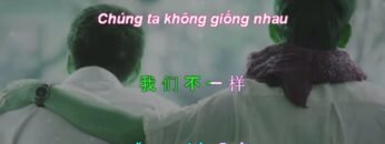 Wo Men Bu Yi Yang Pinyin Lyric | Chúng Ta Không Giống Nhau Vietsub
