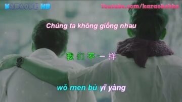 Wo Men Bu Yi Yang Pinyin Lyric | Chúng Ta Không Giống Nhau Vietsub