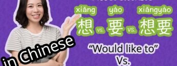 想 xiǎng vs. 要 yào  – Day 31: What Would You Like to Eat? | Learn Chinese for Beginners