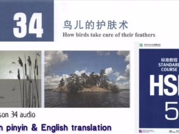 hsk 5 lesson 34 audio with pinyin and English translation | 鸟儿的护肤术<div class="yasr-vv-stars-title-container"><div class='yasr-stars-title yasr-rater-stars'
                          id='yasr-visitor-votes-readonly-rater-9fc262fdaab96'
                          data-rating='0'
                          data-rater-starsize='16'
                          data-rater-postid='4943'
                          data-rater-readonly='true'
                          data-readonly-attribute='true'
                      ></div><span class='yasr-stars-title-average'>0 (0)</span></div>