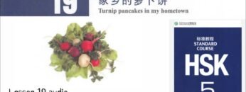 hsk5 下 lesson 19 audio with pinyin and English translation | 家乡的萝卜饼