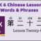 HSK6 Chinese Lesson 22 Words & Phrases, Mandarin Chinese vocabulary for beginners